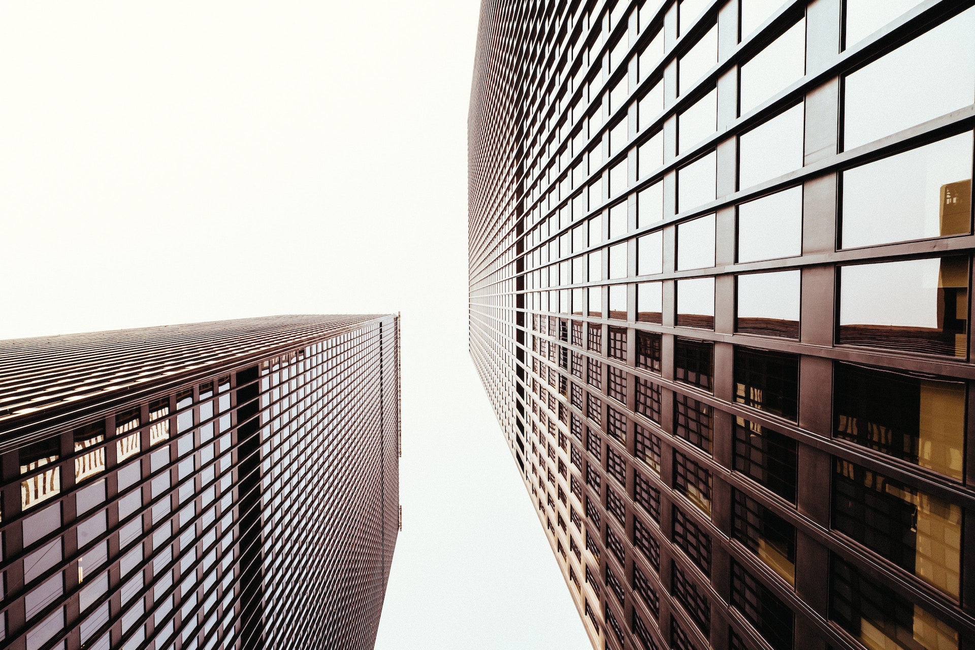 SilvaCruz-Business_Law-joel-filipe-xJYKOzNpLao-img