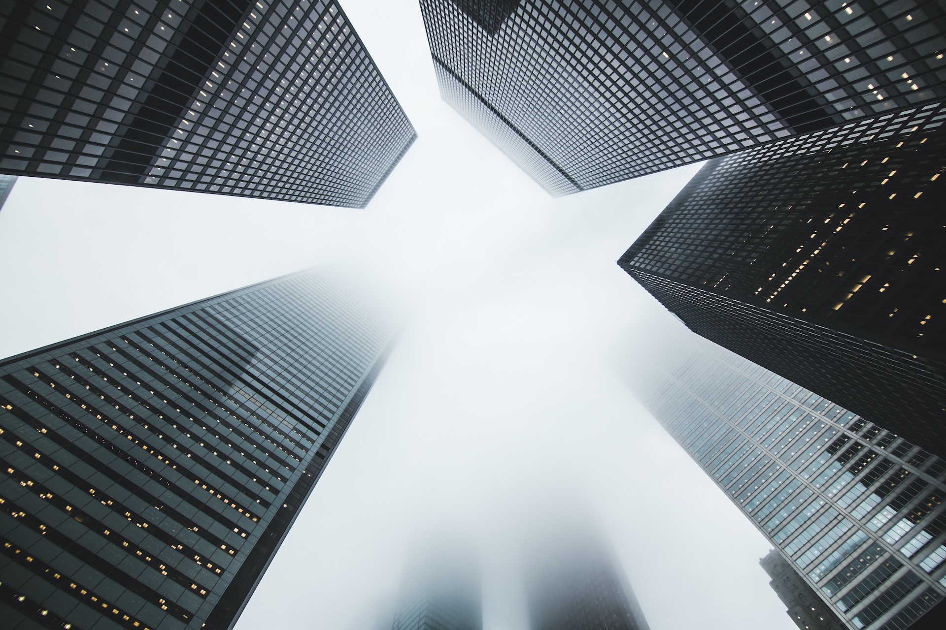 SilvaCruz-Business_Law-matthew-henry-VviFtDJakYk-img