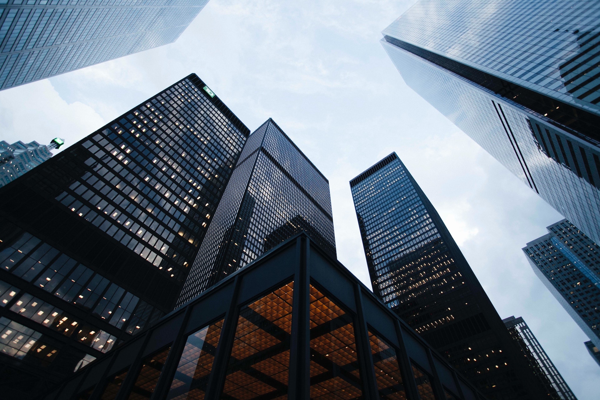 SilvaCruz-Business_Law-sean-pollock-PhYq704ffdA-img