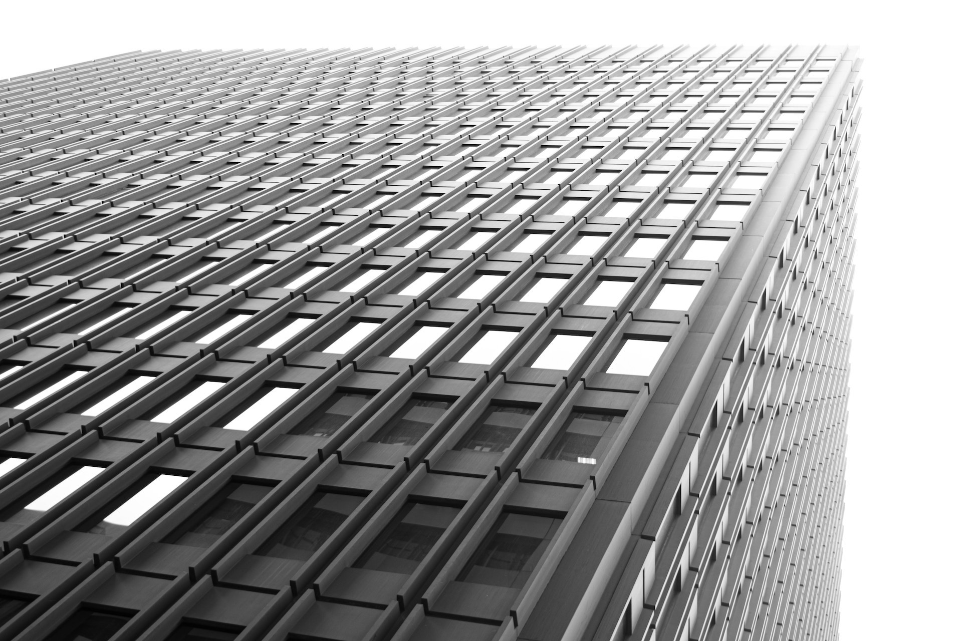 SilvaCruz-Business_Law-steffi-pereira-F3nBE60QPJA-img